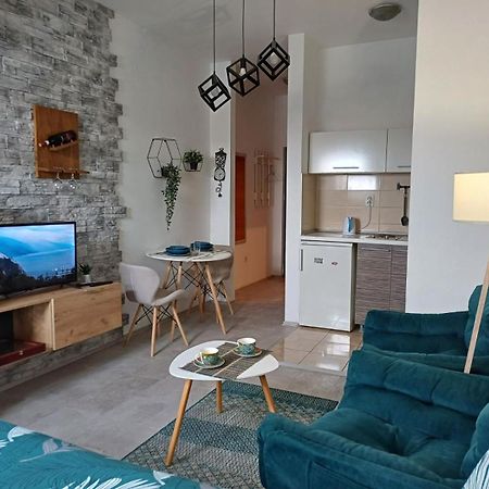 Apartment Centrum - Free Private Parking Нови-Сад Экстерьер фото