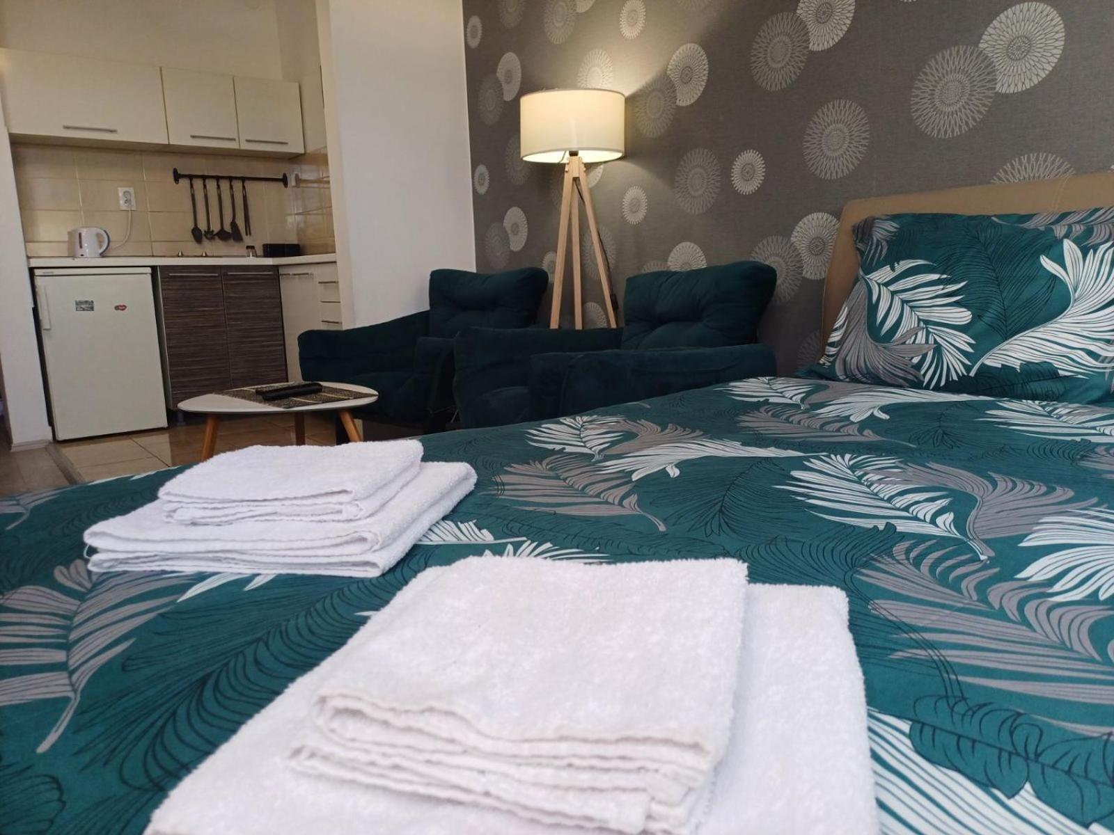 Apartment Centrum - Free Private Parking Нови-Сад Экстерьер фото